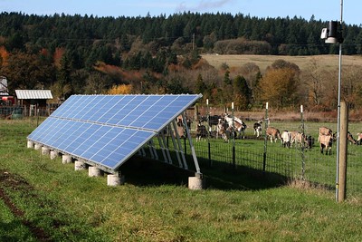 Solar array and goats - Missdee's French Alpine Dairy Goats