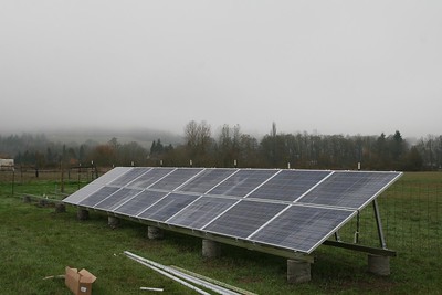 Most solar panels installed - Missdee's French Alpine Dairy Goats